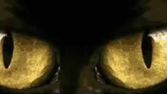 Вирусите - проблем номер едно за компютри и лаптопи по празниците! смотреть онлайн