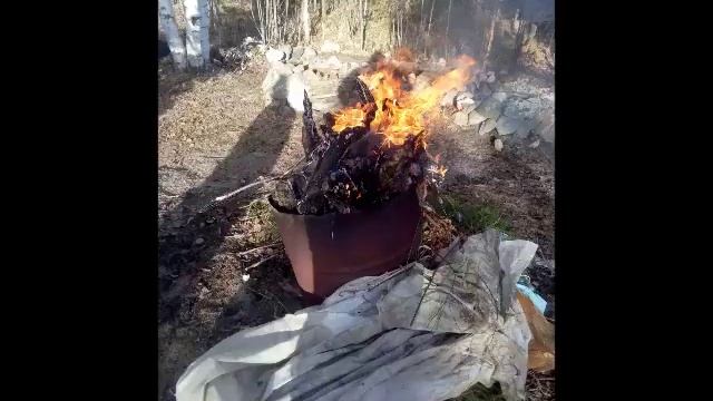 Зелёная весна 2017 смотреть онлайн