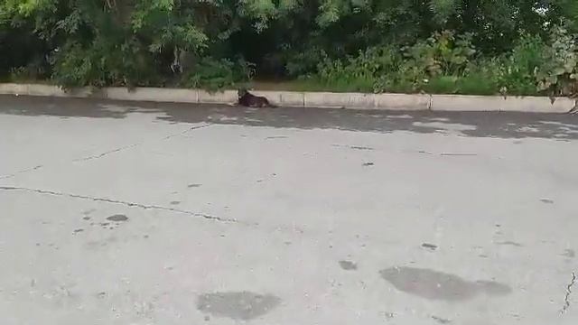 Sititek grom 250m смотреть онлайн