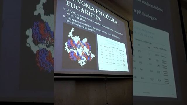 MACROMOLÉCULAS INFORMACIONALES 2/3 смотреть онлайн