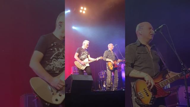 Чертополох. группа Серьга.