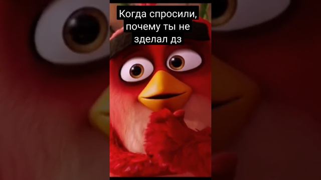 Мем Энгри бердс (права себе не присваиваю) смотреть онлайн