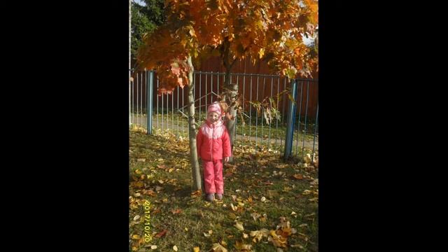 Осенняя прогулка в ДОУ смотреть онлайн