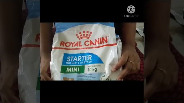 Cute Lucky Food - Royal Canin - Mini Starter Food смотреть онлайн