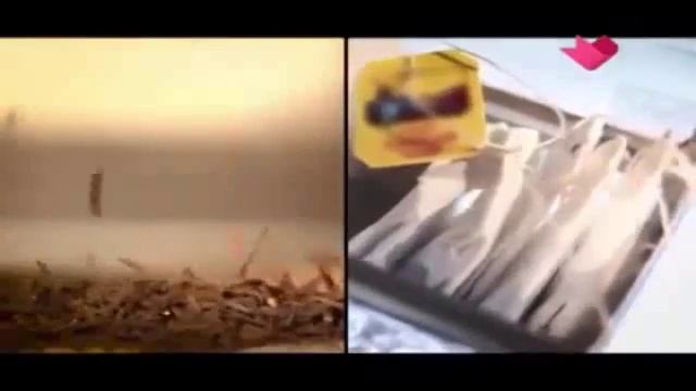 Какие Травяные Чаи Можно смотреть онлайн