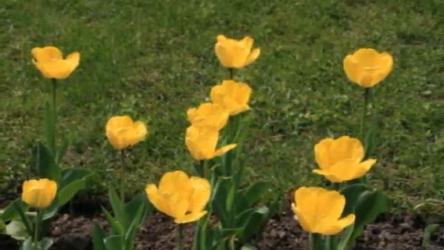Ukraine - Каменец Подольский смотреть онлайн