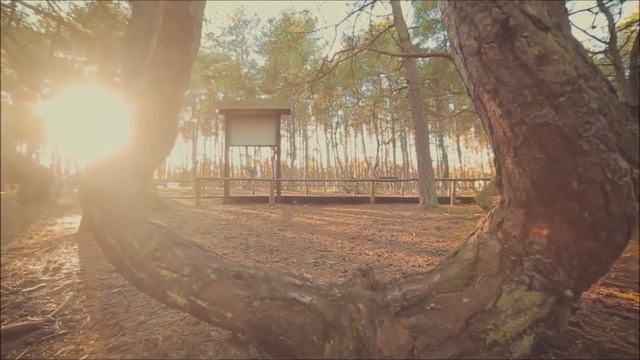 Калининград - это Центр Европы смотреть онлайн