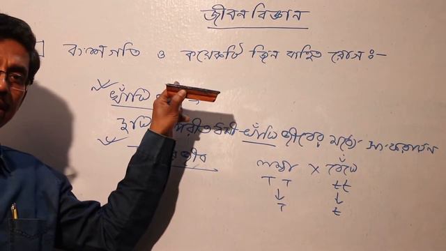 e Class for Madhyamik Life Science Speed of descent смотреть онлайн