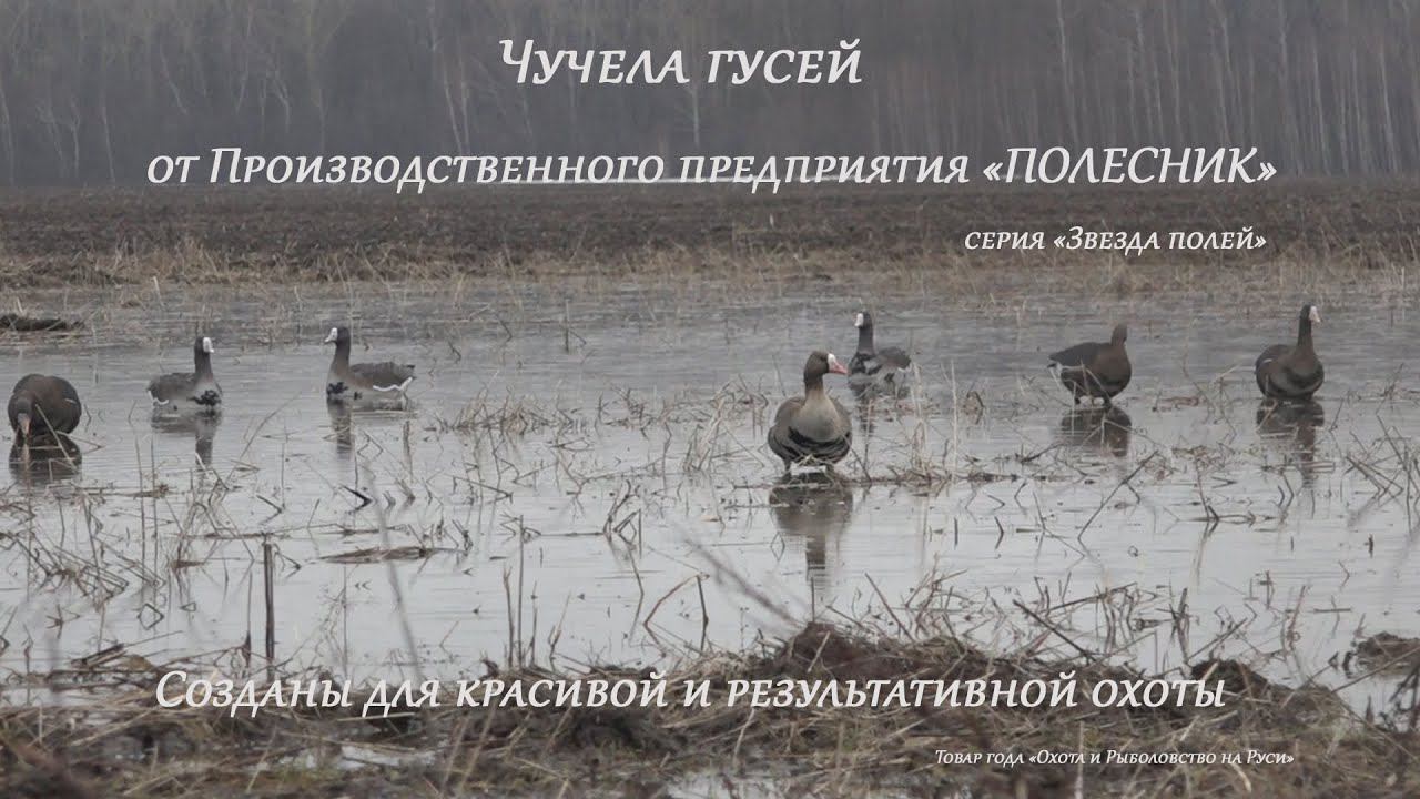 Чучела гусей ПОЛЕСНИК
