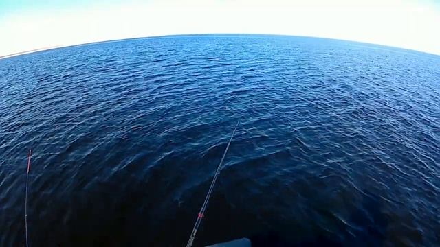 Рыбалка на ладоге. "Ладожская плотва 2019"!!! смотреть онлайн