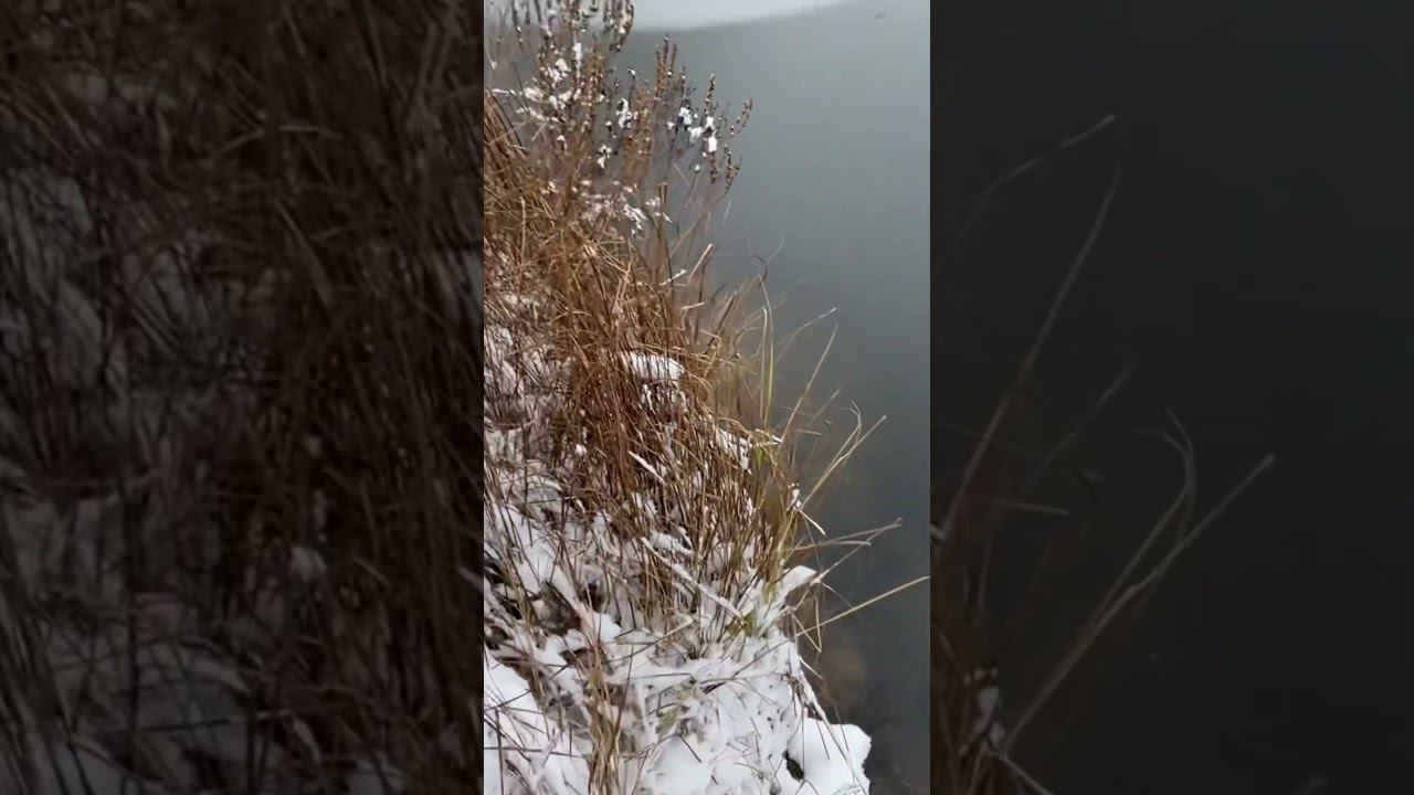 Ротан первый лёд #ротан #первыйлёд смотреть онлайн