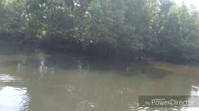 #7 ultralight fishing bontang, indo pacific tarpon смотреть онлайн