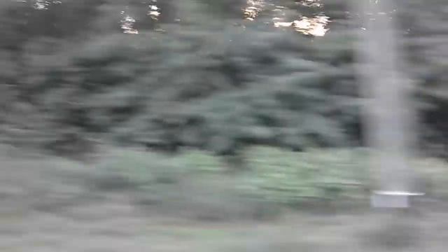 Камера с окна поезда, вид с окна с 1017 км до 1025 км. Камера с окна 8 км с 1017 км до пл.1025 км смотреть онлайн