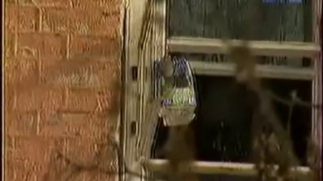 Мамаду / Приватна милиция - Подвиги Геракла смотреть онлайн