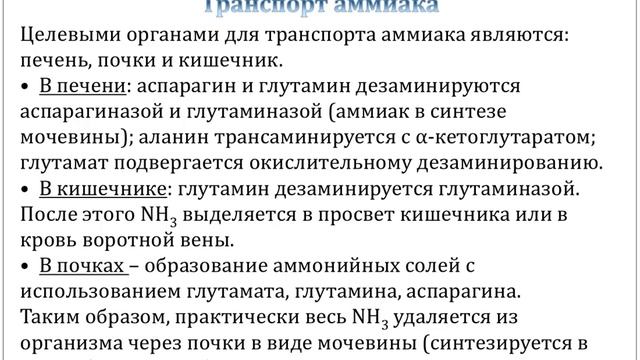 Основные источники аммиака в организме и пути его обезвреживания. Цикл мочевины смотреть онлайн