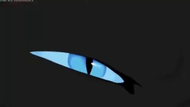 Коты воители с песней Endless смотреть онлайн