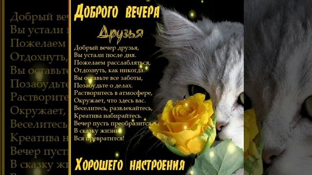 ? Доброго и нежного тебе вечера! смотреть онлайн