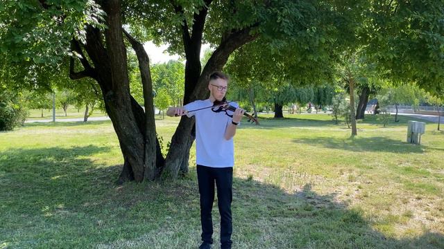 Song From A Secret Garden - Secret Garden | Violin Cover - David Tokarchuk