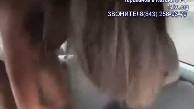 Уничтожение домашних тараканов в квартире смотреть онлайн