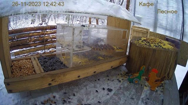 Модернизация Кафе "Лесное" смотреть онлайн