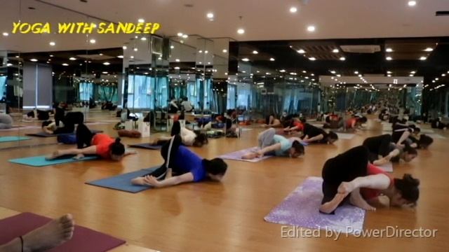 Yoga For Beginners - 50 Minute Home Mix Yoga Workout YouTube | Yoga With Sandeep | Vietnam