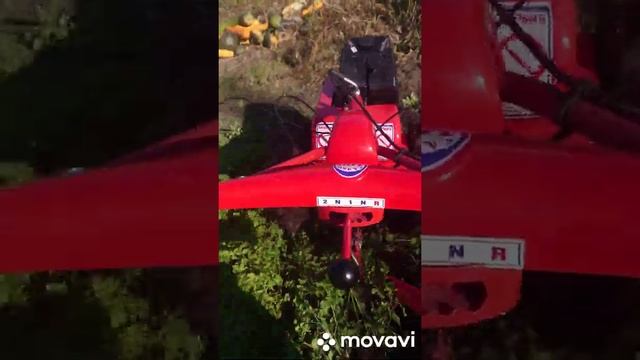 Запашка сидератов. Мотоблок Салют 100. смотреть онлайн