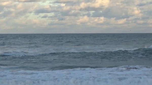 Наталья Фальконе - продаются картины. Лена Хеппи - авторские открытки. Галина Смит-финиш