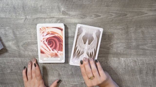 My FAVORITE Oracle Cards || White Light Oracle || Tarot and Oracle Card Reviews смотреть онлайн