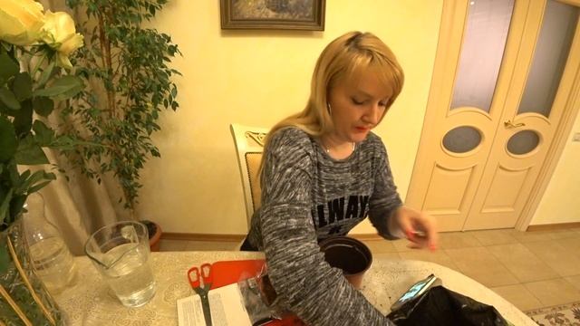 ТРИЦИРТИС. ПОСАДКА И УХОД смотреть онлайн