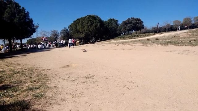 Rally nitro HSP смотреть онлайн