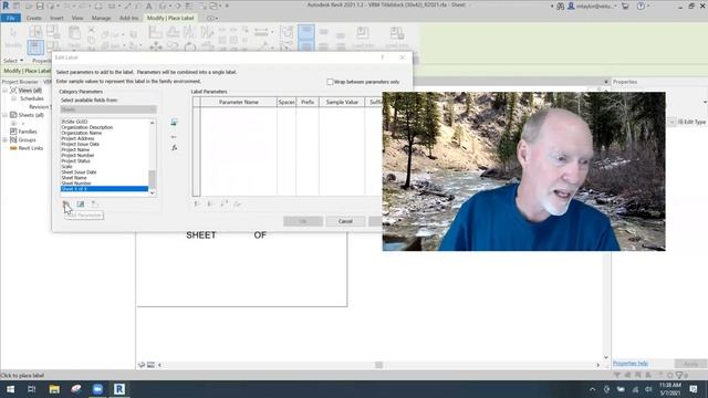 SHARED PARAMETERS: (Sheet X of X) and (Total # of Sheets) смотреть онлайн