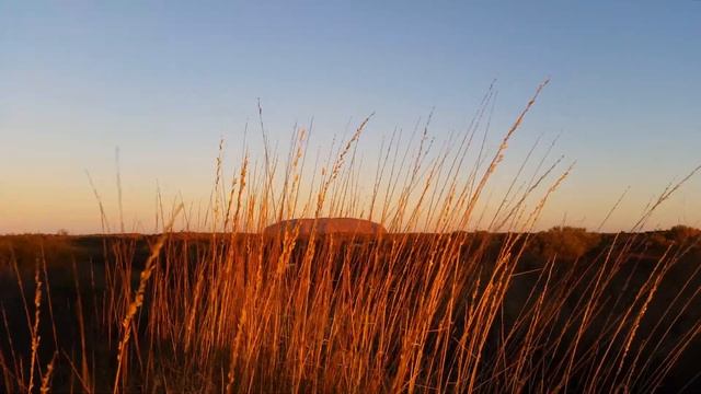 741Гц Лечебная Музыка Высочайших Вибраций | Частота Здоровья, Усиление Иммунитета, Защита от Вирусо смотреть онлайн