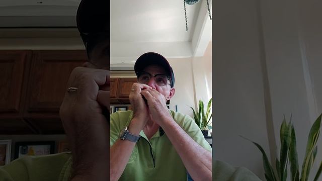 harmonica James Tobin Loch Lomond смотреть онлайн