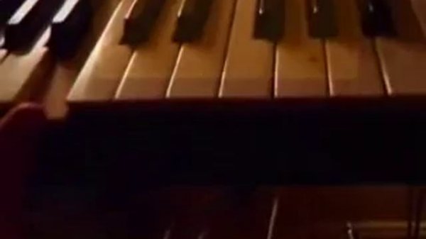 Space - Magic Fly (Cover)