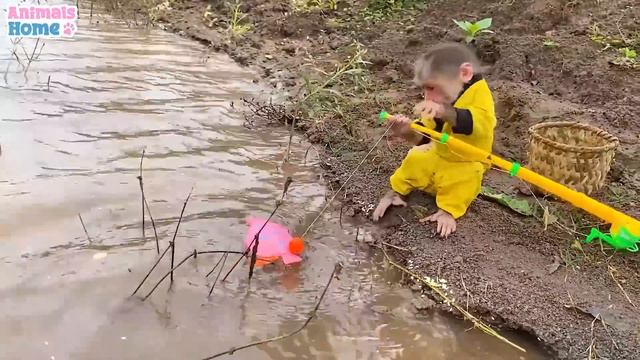 Monkey BiBi Goes Fishing And Harvesting Fruits On The Farm