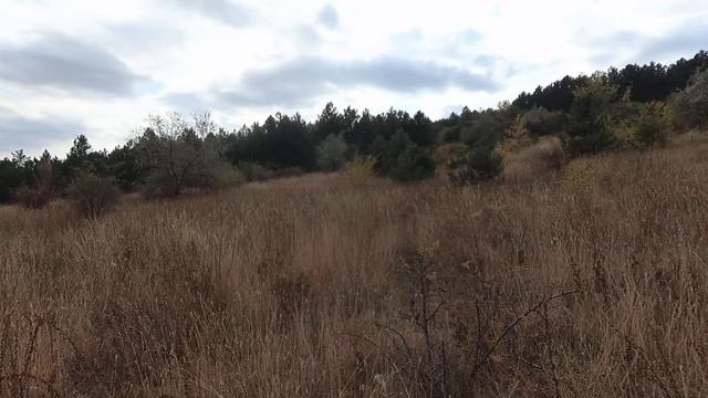 Грустная природа... смотреть онлайн