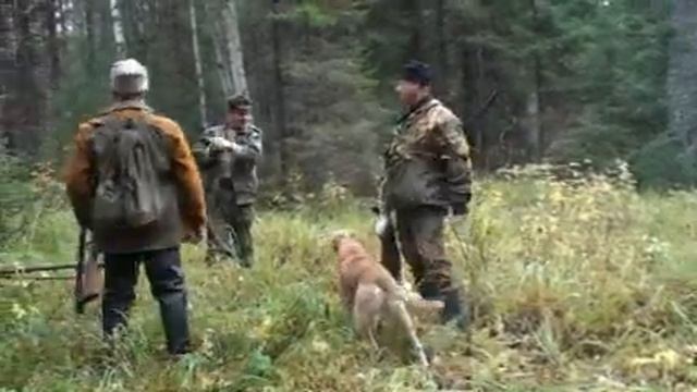 Охота на зайца с гончей смотреть онлайн