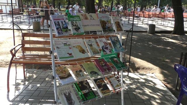 Всемирный день бездомных животных в Мариуполе смотреть онлайн