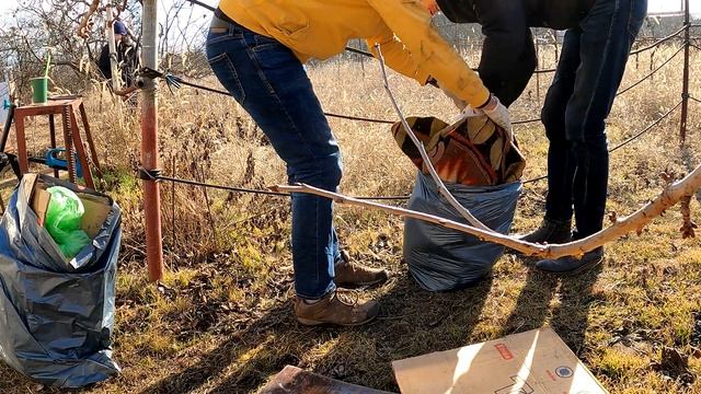 Дача. Нас обокрали | Советская дача терпит бедствие. Куда ведут следы воришек? смотреть онлайн