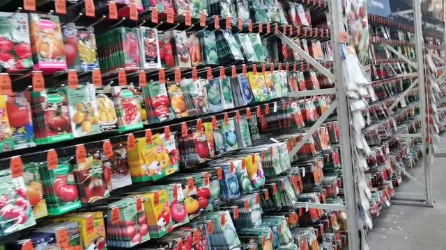 ПИТЕР неприятно удивил! Замерзла, негодовала, но дела сделала. Что купила в ОБИ? смотреть онлайн