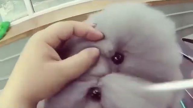 Мастер-класс Suk hee Soo Lee смотреть онлайн