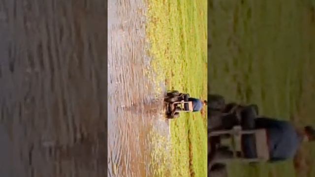 Мотоблок 4×4 испытания смотреть онлайн