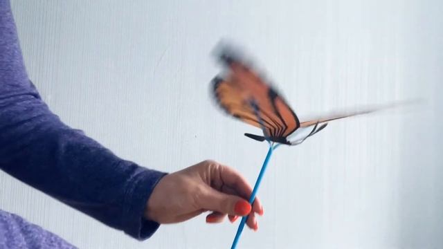 Научная поделка "Бабочка" смотреть онлайн