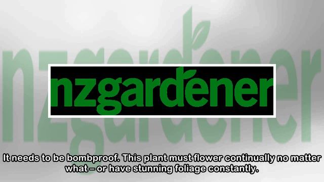 Pot Power: Use Thrillers, Fillers And Spillers For Maximum Impact