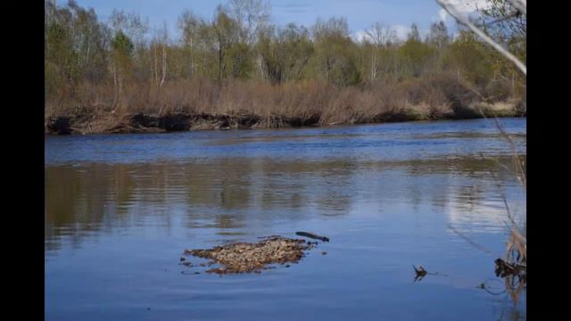 Природа Забайкалья смотреть онлайн