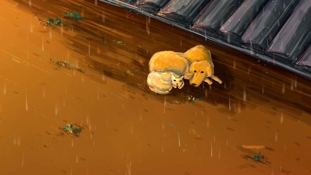 raining cats and dogs - gif смотреть онлайн
