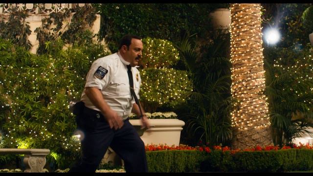 The Bird Fight | Paul Blart: Mall Cop 2 | CineStream смотреть онлайн