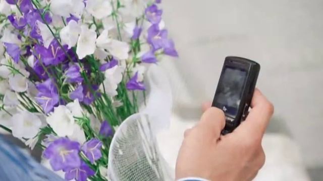 Аня и Эльдар1.mpg смотреть онлайн