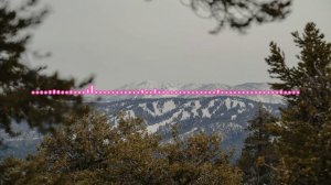 АЛИ САИДОВ - МАМА 2024