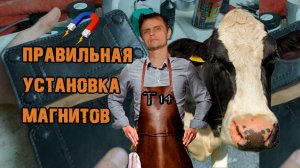 Устанавливаем Магниты. Фурнитура для портмоне. Ручная работа из кожи. Лаборатория Т14